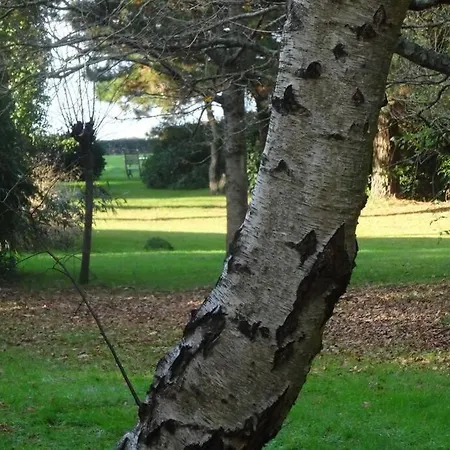 Ty Too, dans les bois, face mer Pénestin Extérieur photo