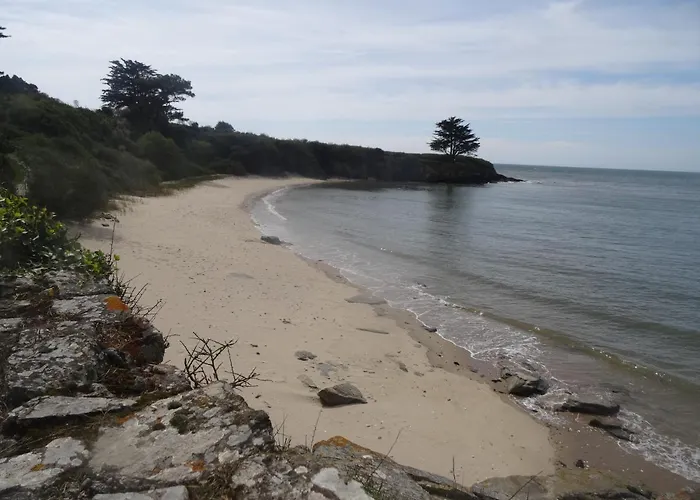 Ty Too, Dans Les Bois, Face Mer