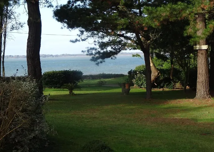 Ty Too, Dans Les Bois, Face Mer