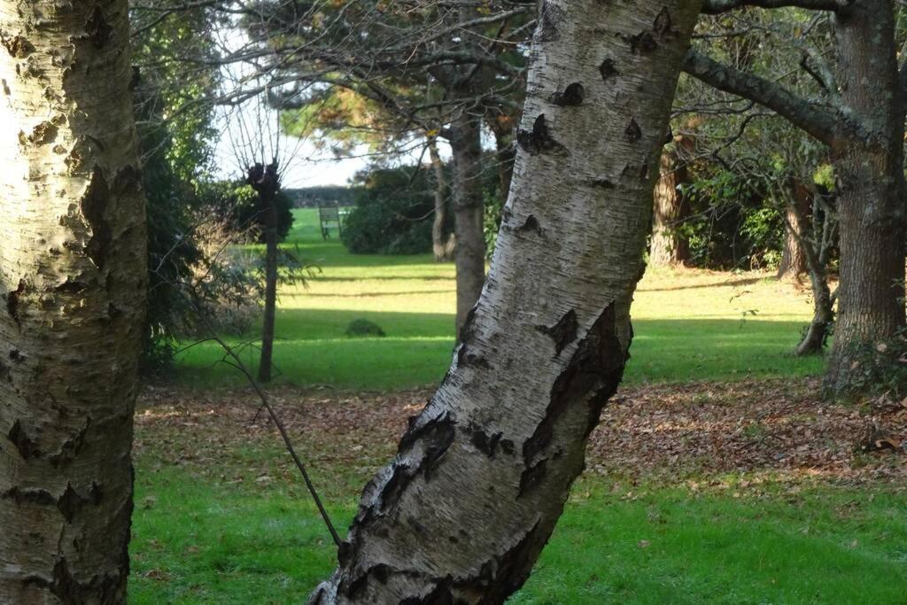 Ty Too, Dans Les Bois, Face *